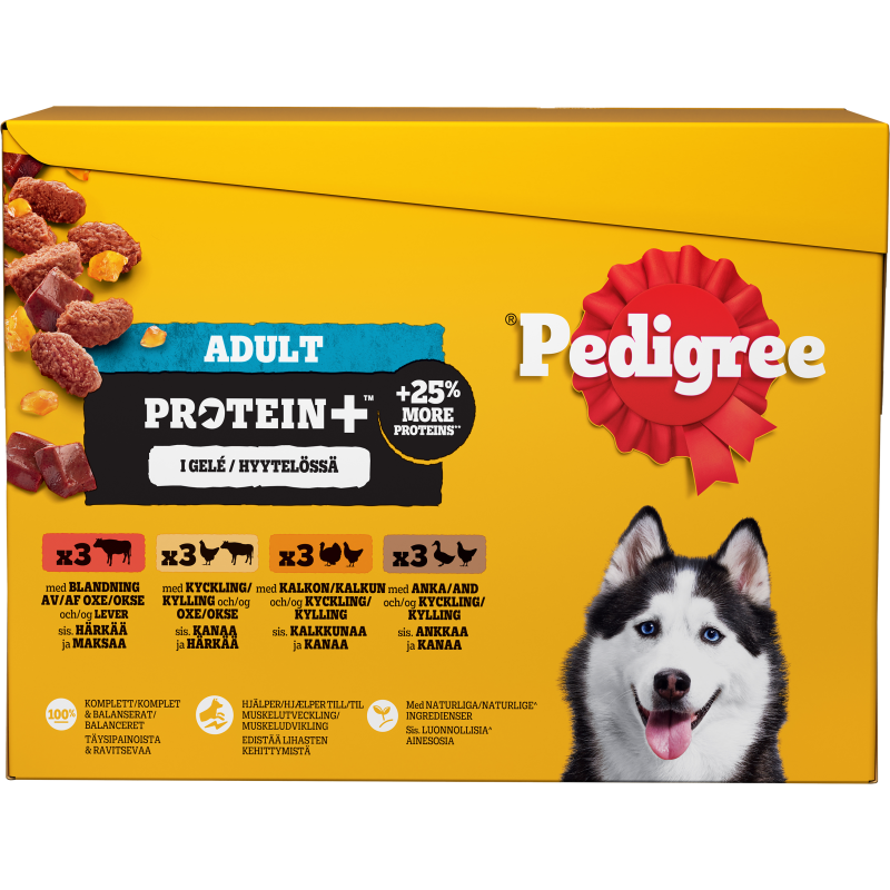 Koiranruoka Pedigree 12 x 85 g Protein+ hyytelössä