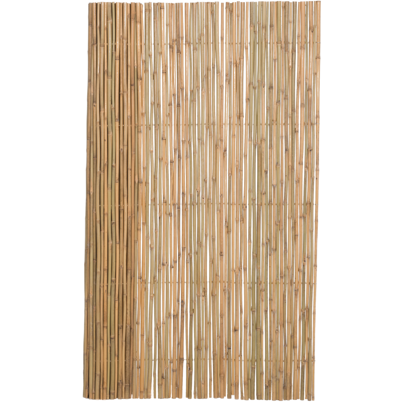 Bambuaita 4Living 2 x 3 m