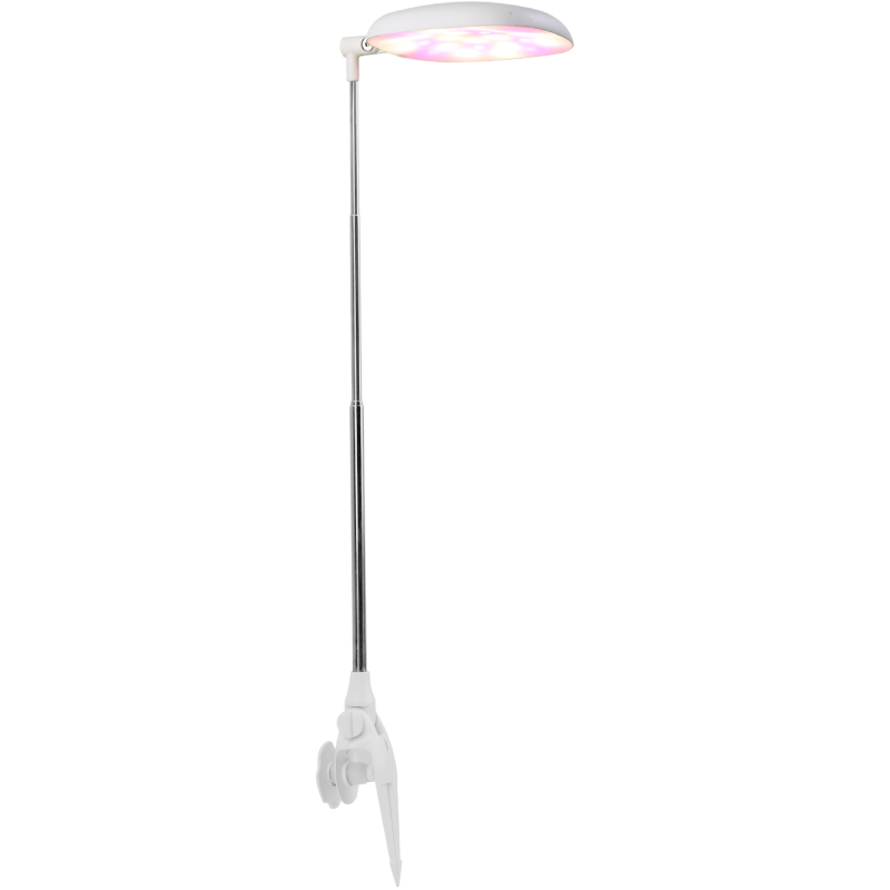 Kasvivalo Strömsö Minigarden ajastimella