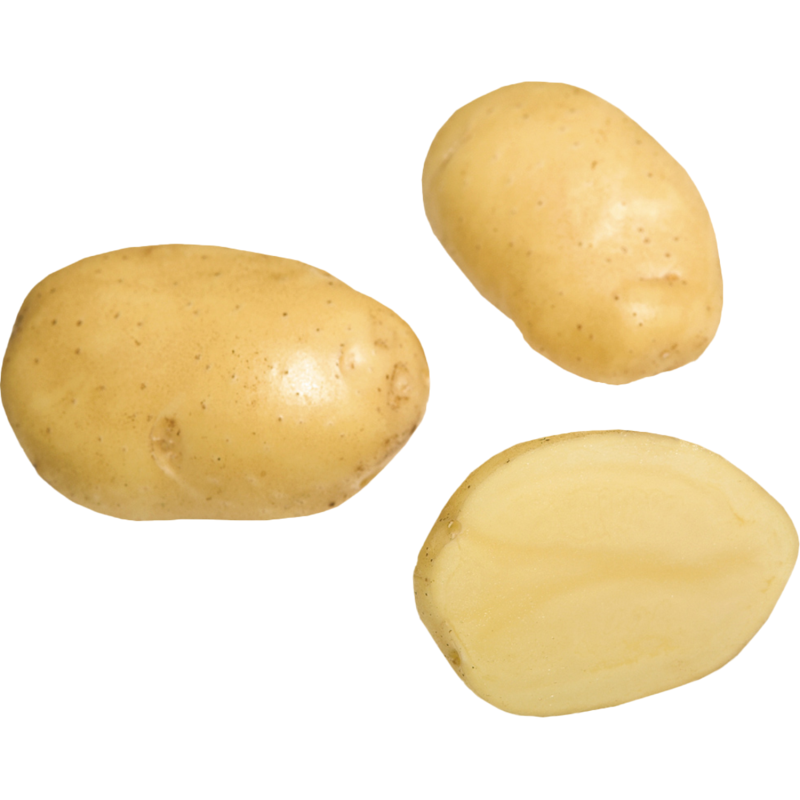 Siemenperuna Siikli 2,5 kg