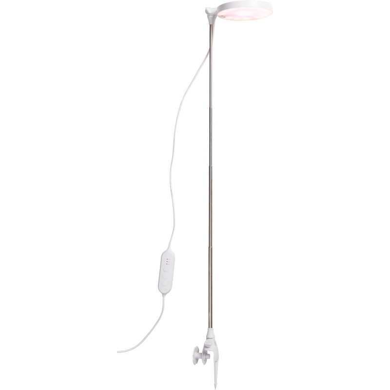 Kasvivalo Airam Rose 10E 290lm USB