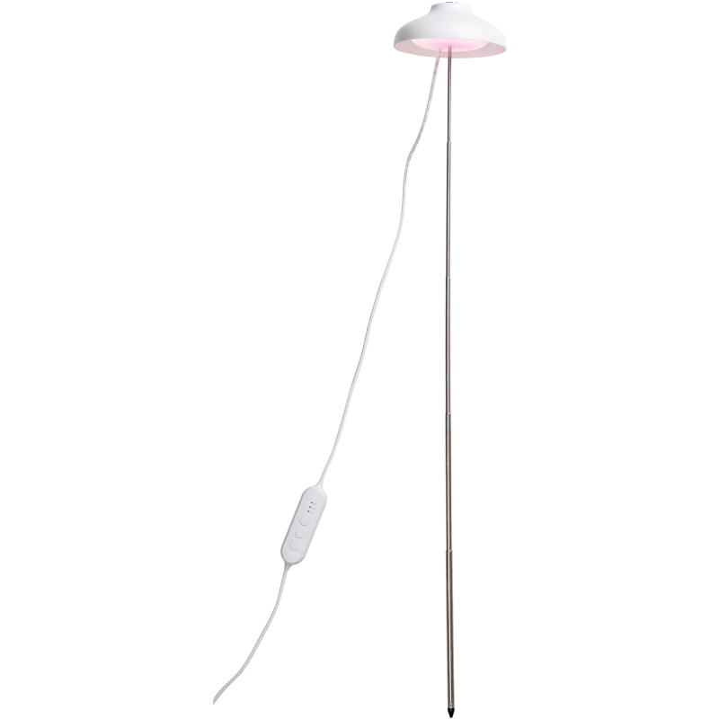 Kasvivalo Airam Iris 5W/835 240 lm valkoinen