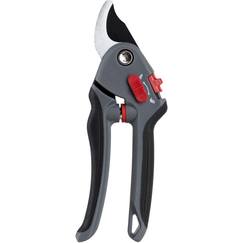 Puutarhasakset ohileikkaava