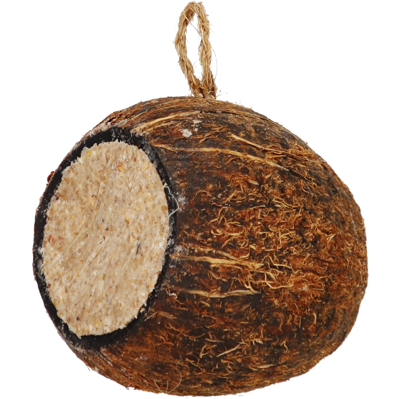 Rasvasiemenseos Real Bird 450 g kookoksessa