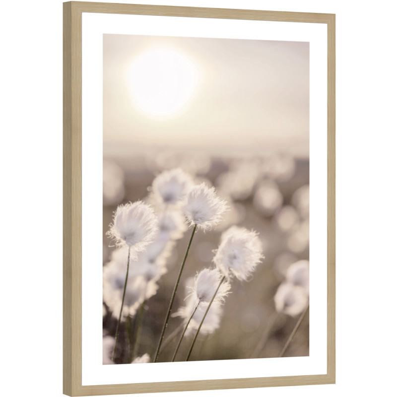 Taulukehys Kotikulta 50 x 70 cm Heinät