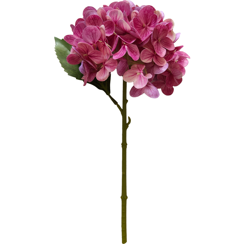 Hortensia Kotikulta 32 cm pinkki