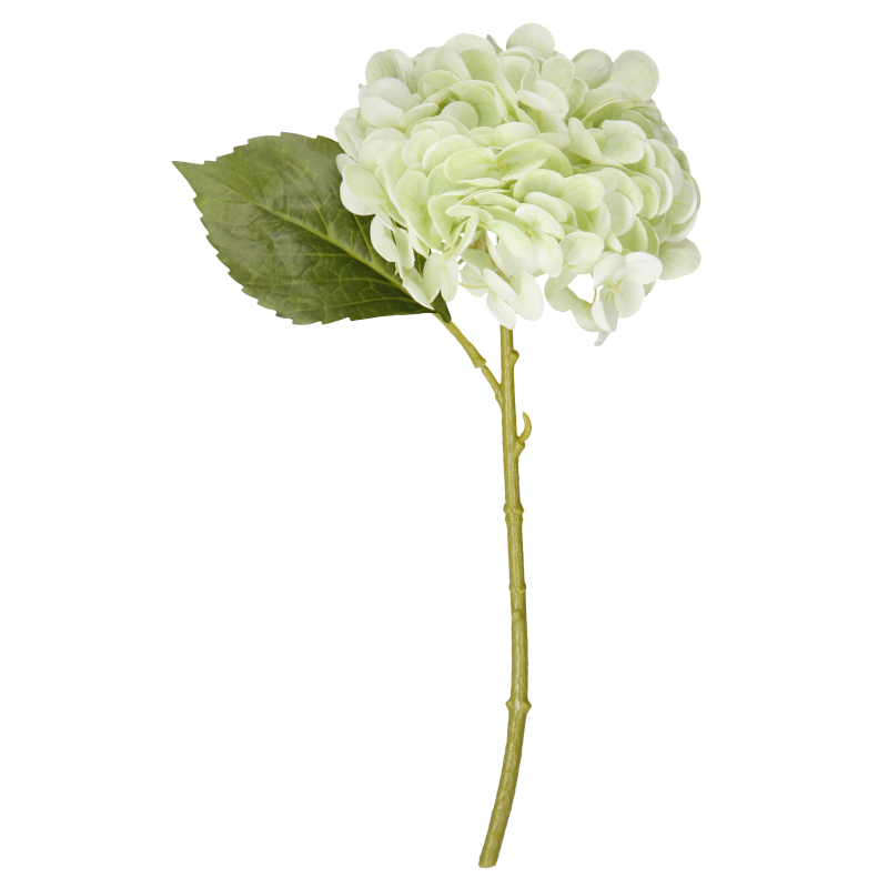 Hortensia Kotikulta 32 cm vihreä