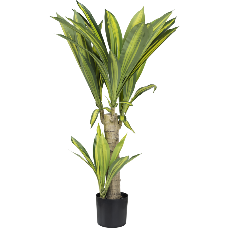 Traakkipuu Kotikulta 80 cm