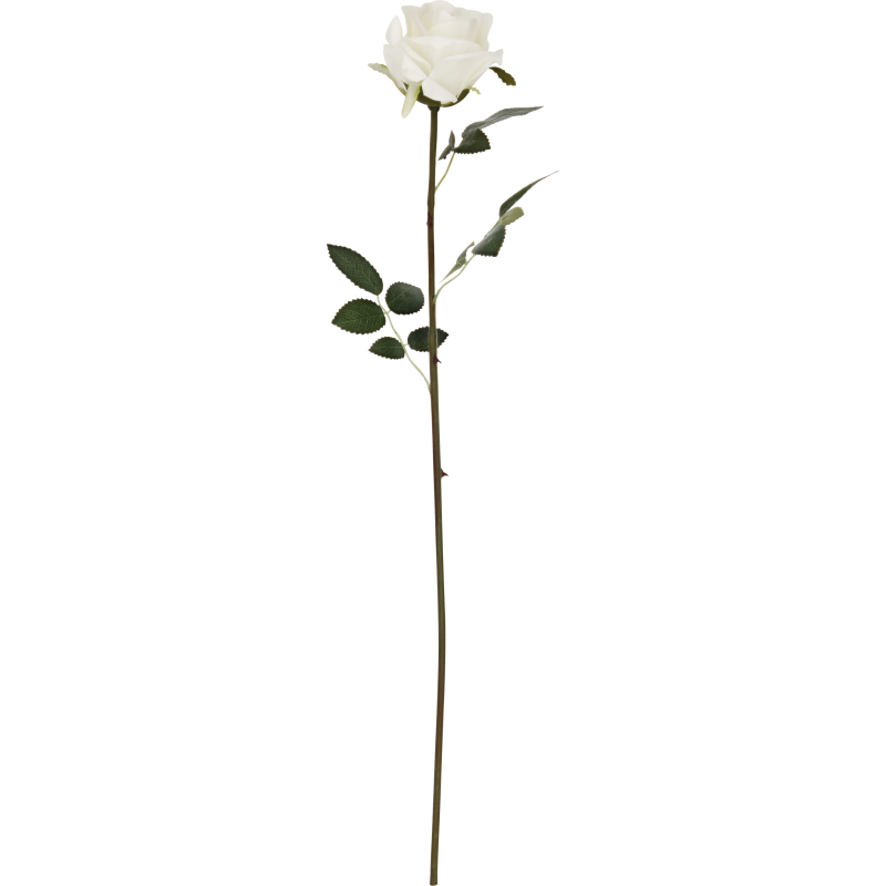 Ruusu Kotikulta 59 cm valkoinen