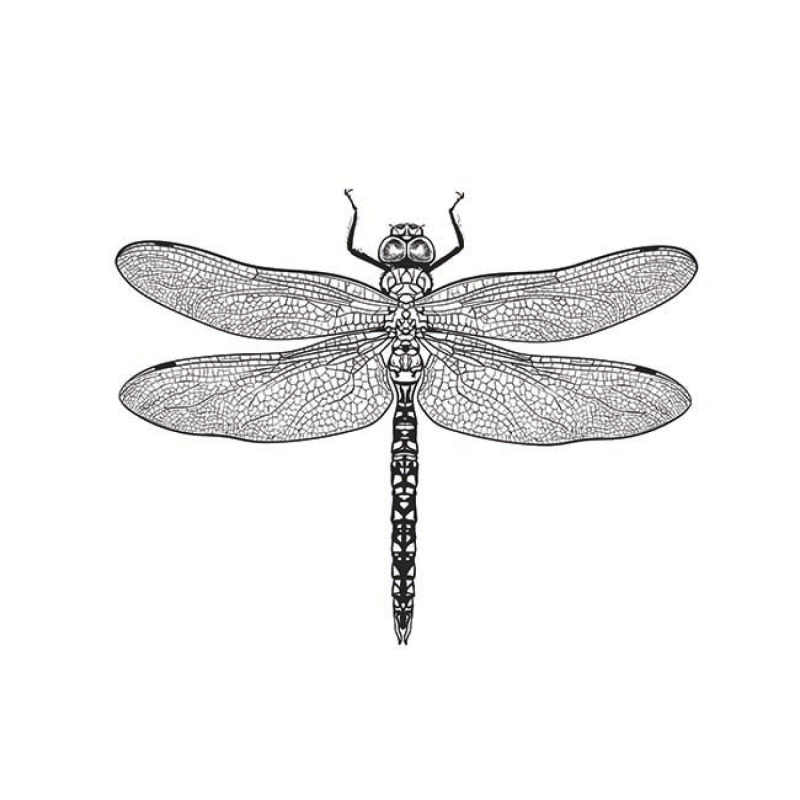 Lautasliina Kotikulta 33 x 33 cm kevät