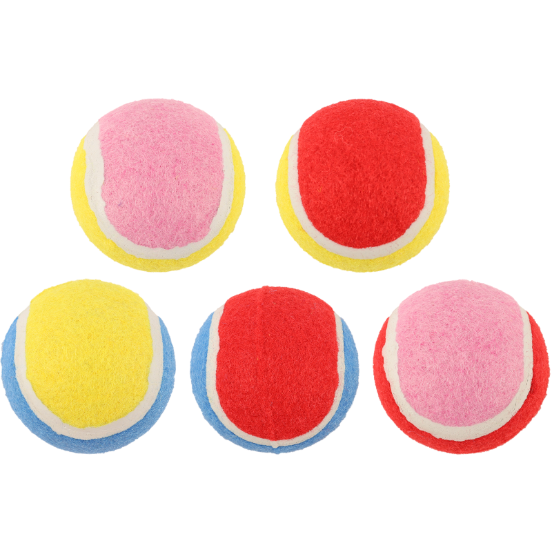 Koiran tennispallo Real Dog 5 kpl PoolParty