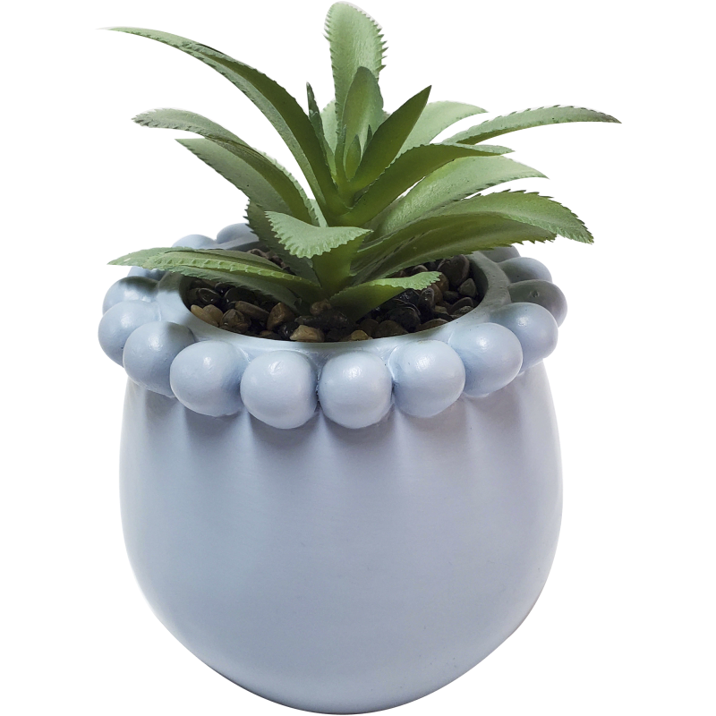 Tekokasvi ruukulla Miny vaaleansininen