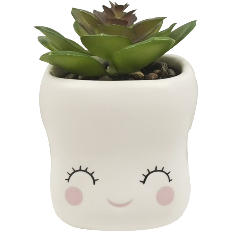 Tekokasvi ruukulla Miny vaahtokarkki