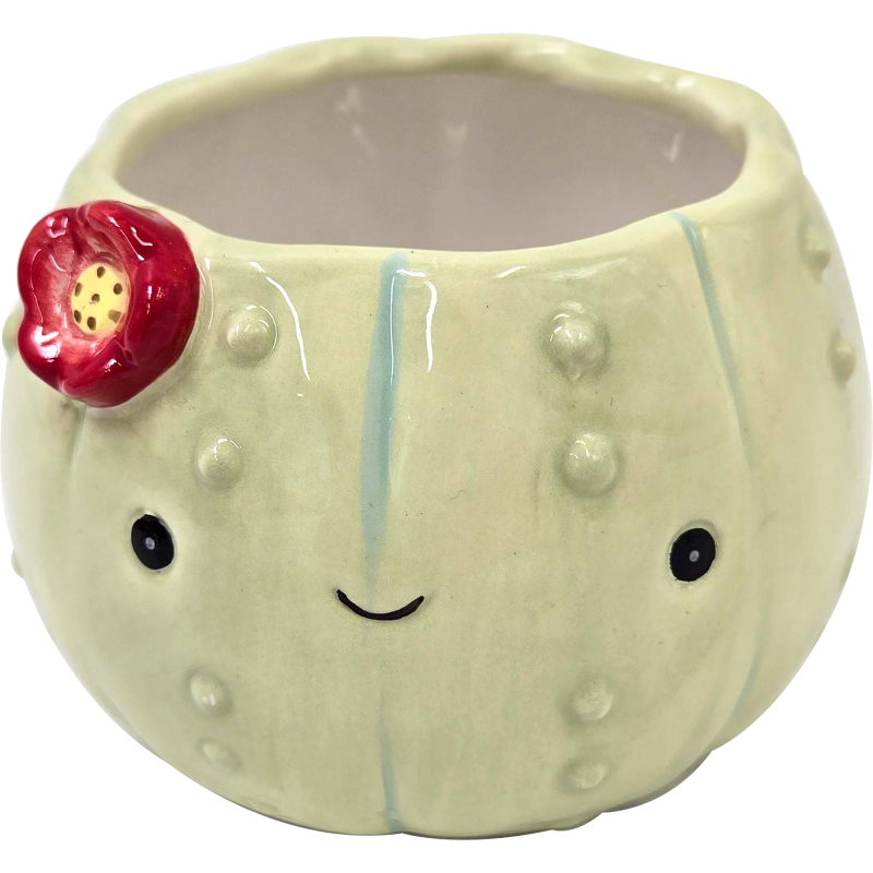 Tekokasvin ruukku Miny kaktus