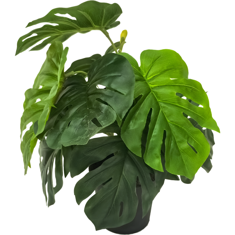 Peikonlehti Kotikulta 30 cm vihreä