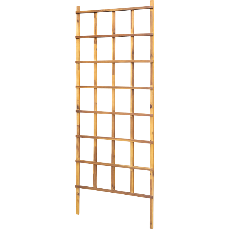 Köynnösritilä Parco akaasia