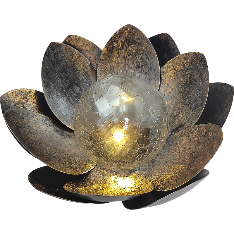 Rautakukka aurinkovalolla Parco