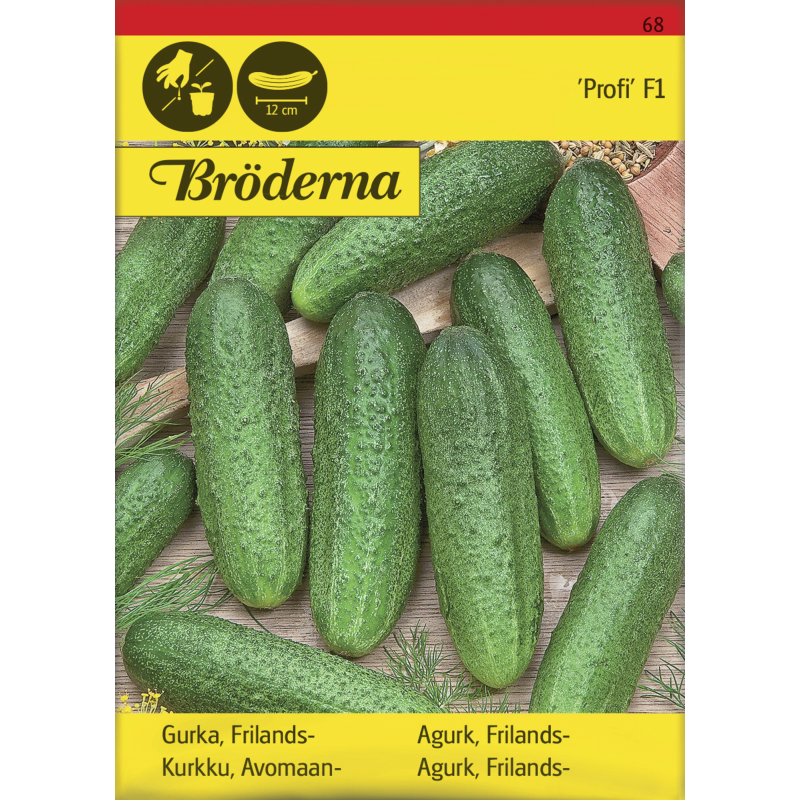 Avomaankurkku Profi F1 siemen Bröderna Nelsons