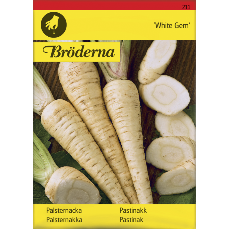 Palsternakka White Gem siemen Bröderna Nelsons