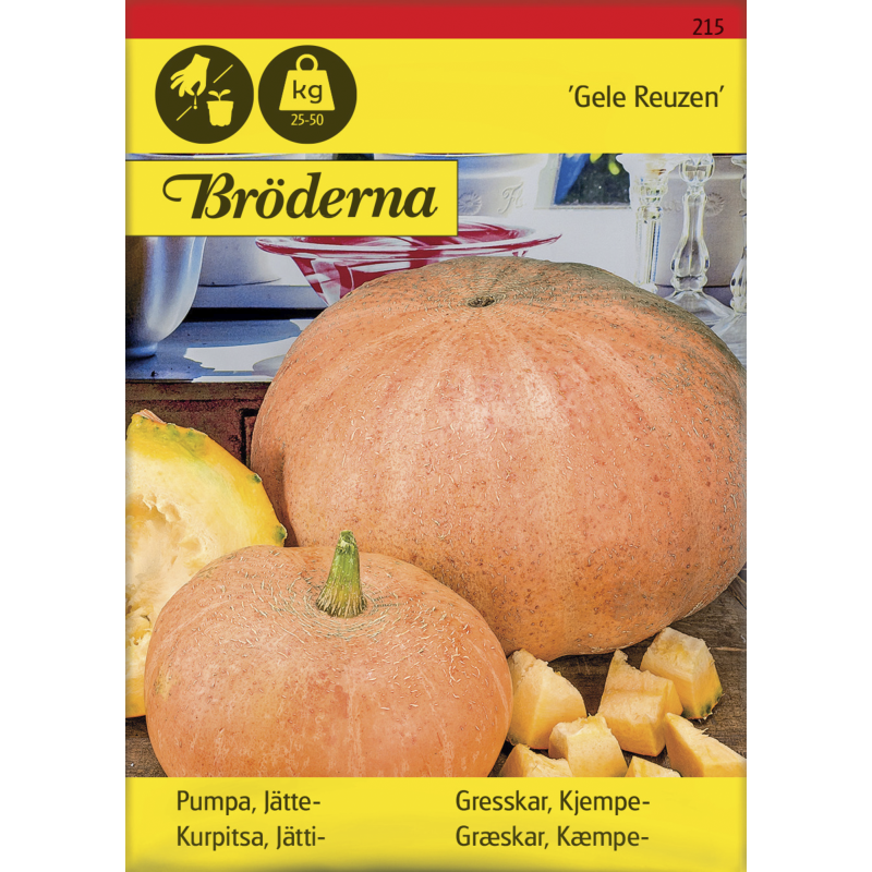 Jättikurpitsa Gele Reuzen siemen Bröderna Nelsons