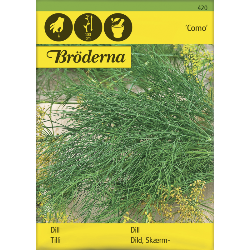 Tilli Como siemen Bröderna Nelsons