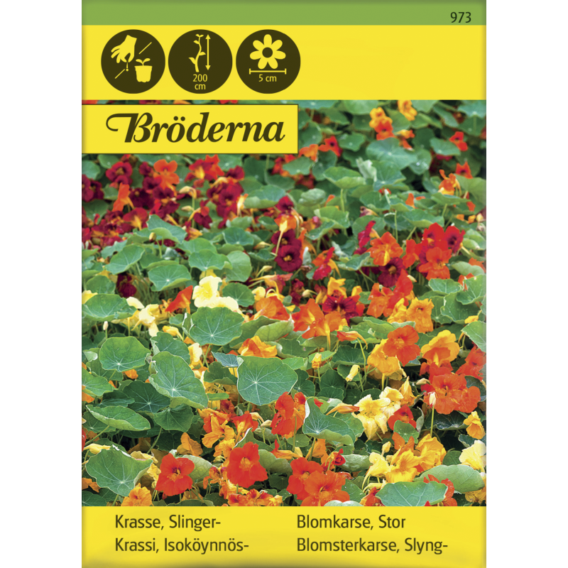 Isoköynnöskrassi väriseos siemen Bröderna Nelsons