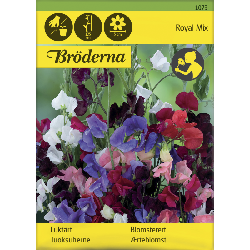 Tuoksuherne Royal Mix siemen Bröderna Nelsons