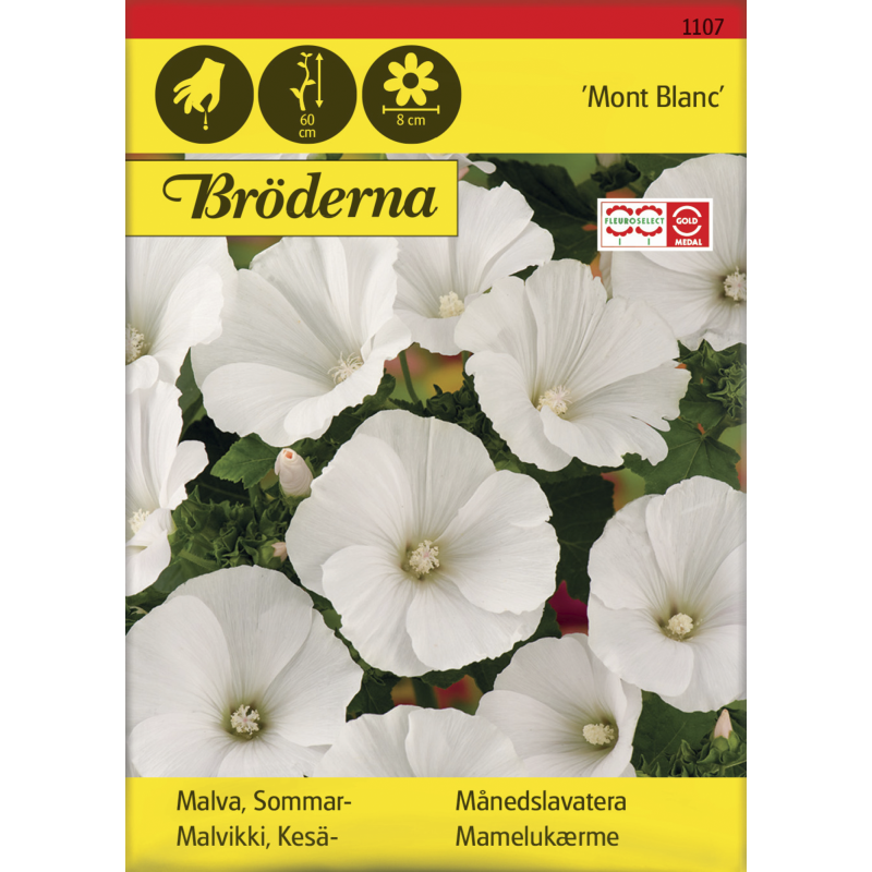 Kesämalvikki Mont Blanc siemen Bröderna Nelsons