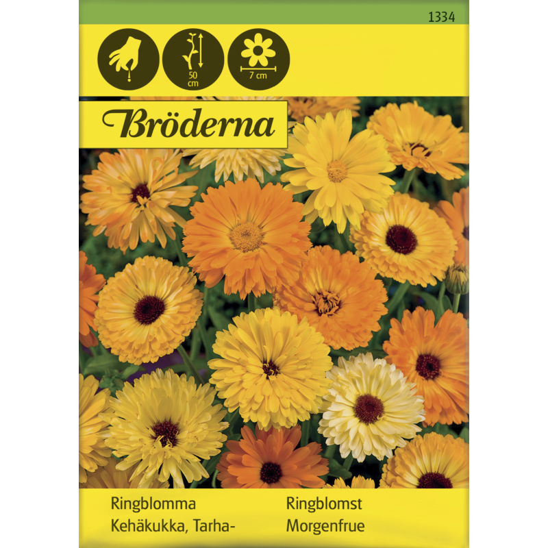 Tarhakehäkukka väriseos siemen Bröderna Nelsons