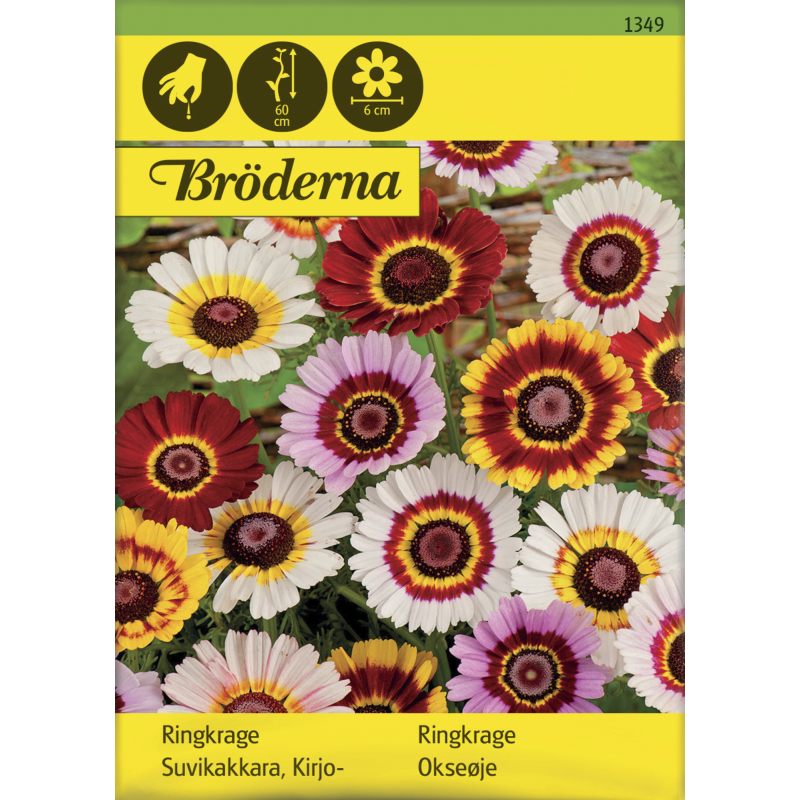 Kirjosuvikakkara siemen Bröderna Nelsons