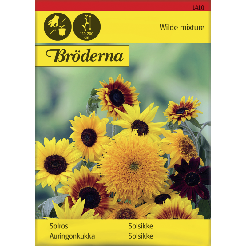 Auringonkukka seos siemen Bröderna Nelsons