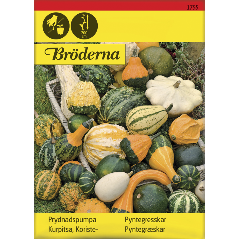 Koristekurpitsa Seos siemen Bröderna Nelsons