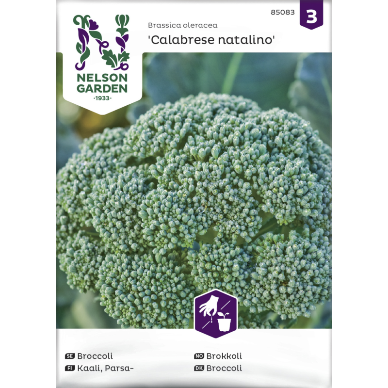 Parsakaali siemen Nelson Garden Basic Calabrese natalino