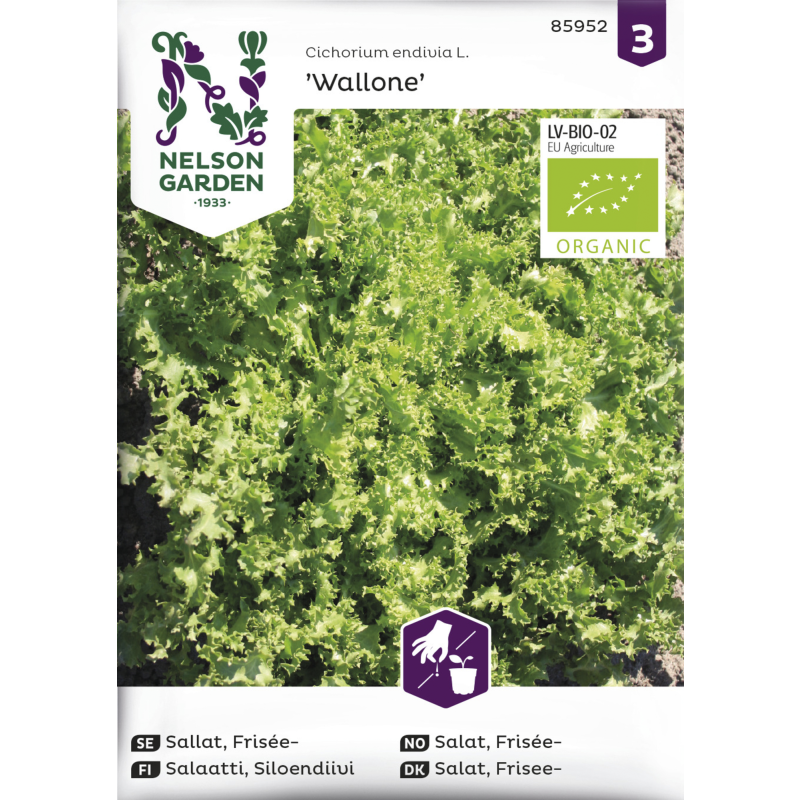 Endiivisalaatti siemen Nelson Garden Basic Wallone Organic