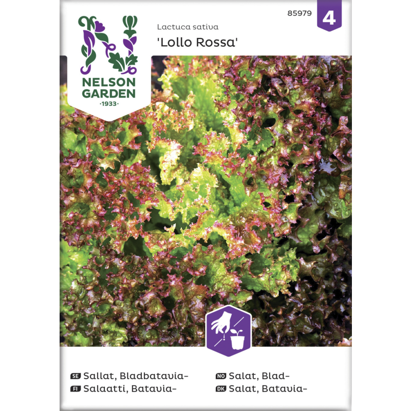 Bataviasalaatti siemen Nelson Garden Basic Lollo Rossa