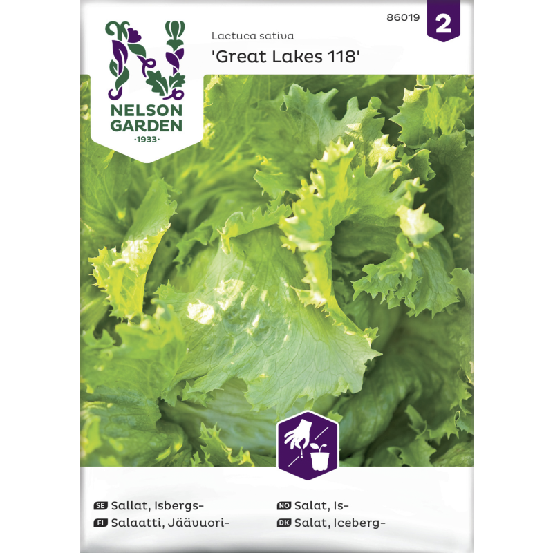 Jäävuorisalaatti siemen Nelson Garden Basic Great Lakes 118