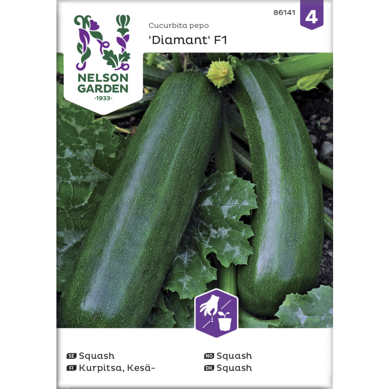 Kesäkurpitsa siemen Nelson Garden Basic Zucchini/Diamant F1
