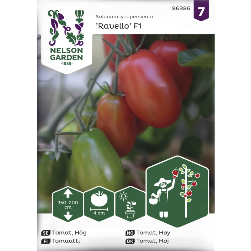 Tomaatti siemen Nelson Garden Basic Ravello F1