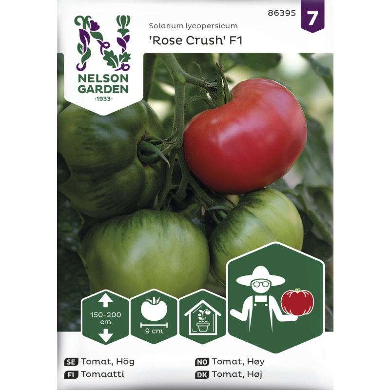 Tomaatti siemen Nelson Garden Basic Rose Crush F1