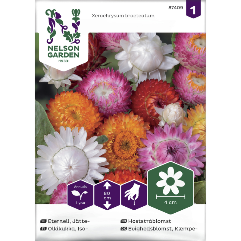 Isoolkikukka siemen Nelson Garden Basic Väriseos