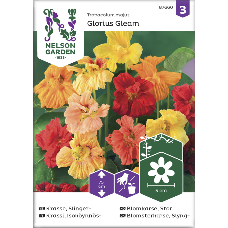 Isoköynnöskrassi siemen Nelson Garden Basic Glorious Gleam