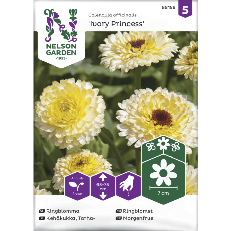 Tarhakehäkukka siemen Nelson Garden Basic Ivory Princess