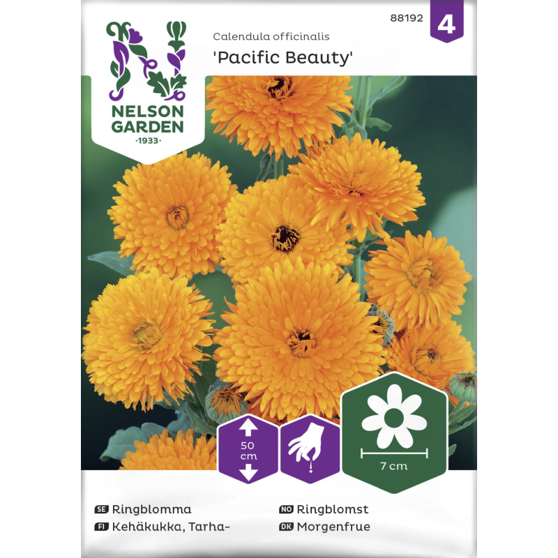 Tarhakehäkukka siemen Nelson Garden Basic Pacific Beauty