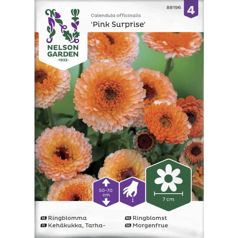 Tarhakehäkukka siemen Nelson Garden Basic Pink Surprise