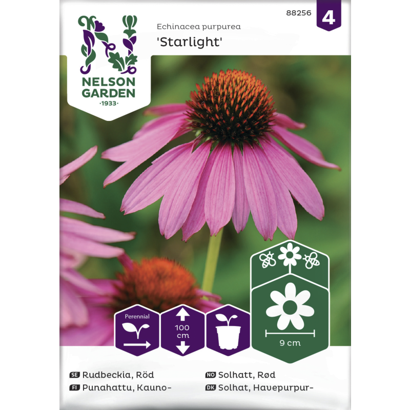 Kaunopunahattu siemen Nelson Garden Basic Starlight