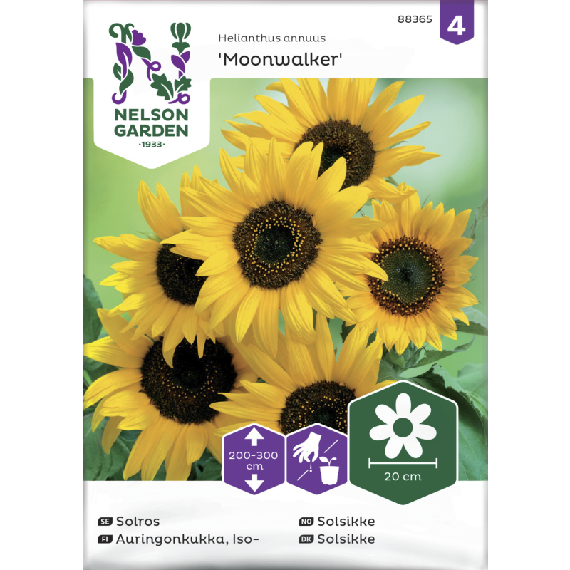 Isoauringonkukka siemen Nelson Garden Basic Moonwalker