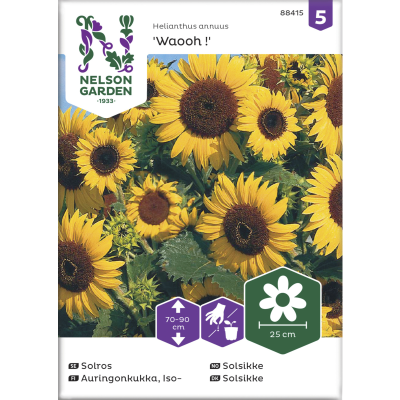 Isoauringonkukka siemen Nelson Garden Basic Waooh