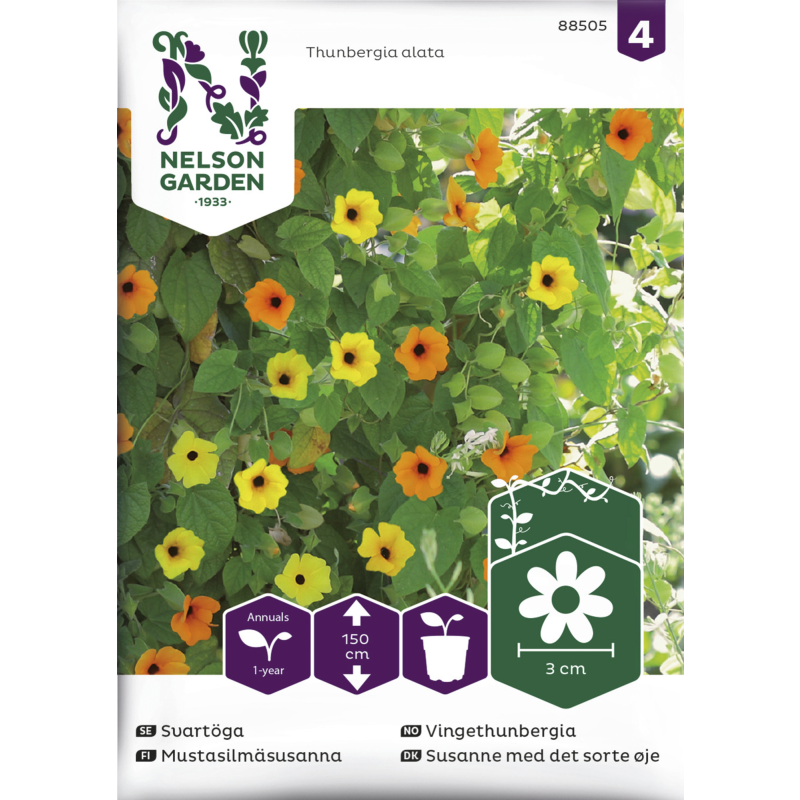 Mustasilmäsusanna siemen Nelson Garden Basic väriseos