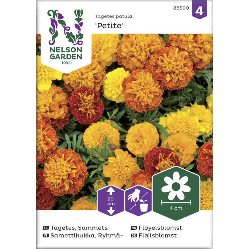 Ryhmäsamettikukka siemen Nelson Garden Basic Petite seos