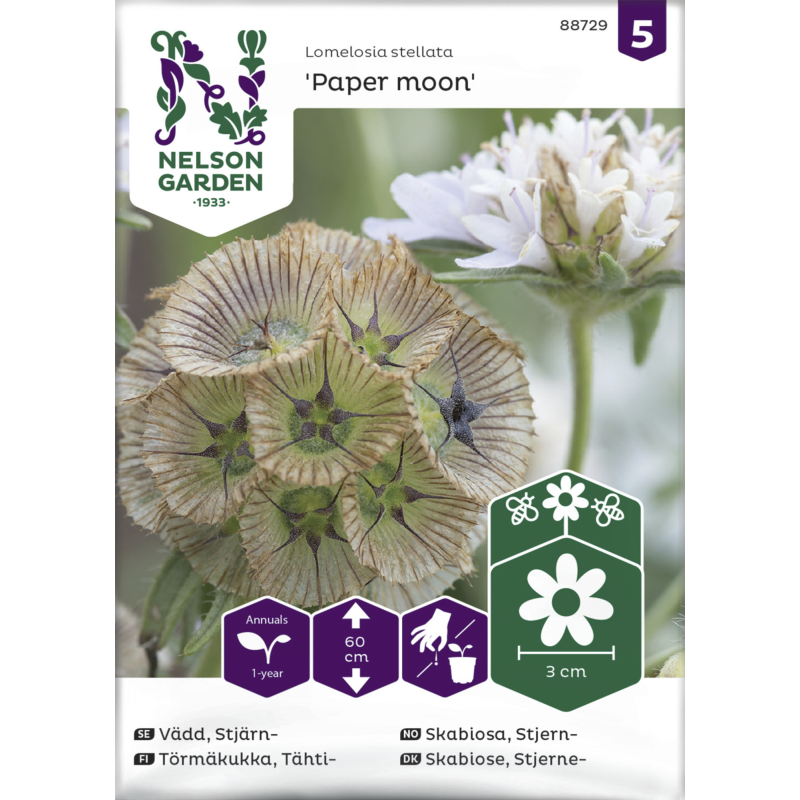 Tähtitörmäkukka siemen Nelson Garden Basic Paper moon